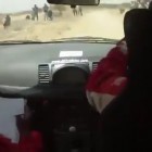 cum sa trollezi profesional