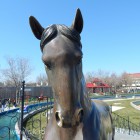 cal statuie