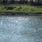 reflexie soare in apa