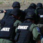 Swatting