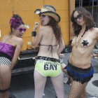 parada gay