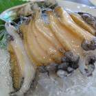 Abalone sushi
