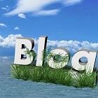 insula blog