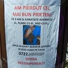 pierdut jucarie ofer recompensa