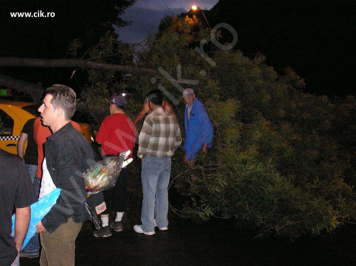 copac cazut pe masina in bucuresti dupa furtuna in rahova