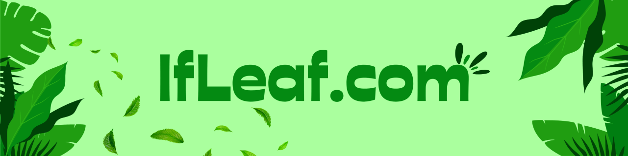 Open now a green bio organic business with a premium domain name