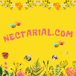 A sweet domain name ideea for a sweet business